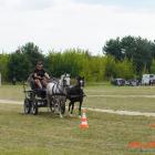 zdjęcie nr 63