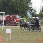 zdjęcie nr 64