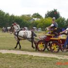 zdjęcie nr 84