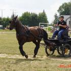 zdjęcie nr 86