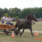 zdjęcie nr 89
