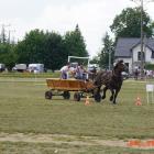zdjęcie nr 90