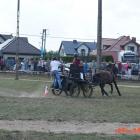 zdjęcie nr 95