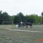 zdjęcie nr 96