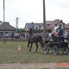 zdjęcie nr 101