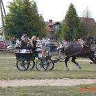 zdjęcie nr 102