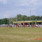 zdjęcie nr 113