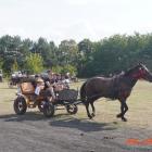 zdjęcie nr 116