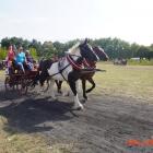 zdjęcie nr 117