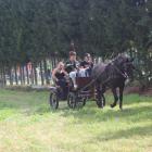 zdjęcie nr 32