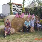 zdjęcie nr 84