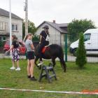 zdjęcie nr 33