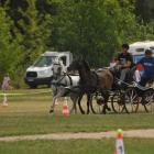 zdjęcie nr 7