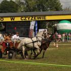 zdjęcie nr 16