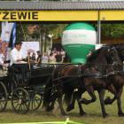 zdjęcie nr 28
