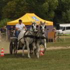 zdjęcie nr 52