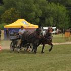 zdjęcie nr 54