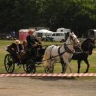 zdjęcie nr 62