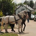 zdjęcie nr 63