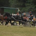 zdjęcie nr 75