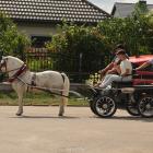 zdjęcie nr 85