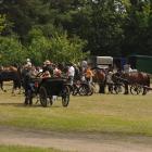 zdjęcie nr 86