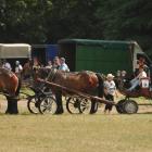 zdjęcie nr 87