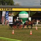 zdjęcie nr 89