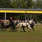 zdjęcie nr 92