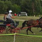 zdjęcie nr 100