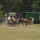 zdjęcie nr 104