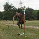 zdjęcie nr 138