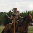 zdjęcie nr 147