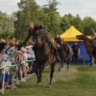 zdjęcie nr 173