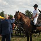 zdjęcie nr 243