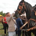 zdjęcie nr 245