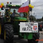 zdjęcie nr 173
