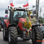 zdjęcie nr 175