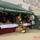 zdjęcie nr 9