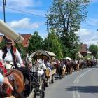zdjęcie nr 22