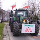 zdjęcie nr 12