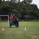 zdjęcie nr 81
