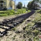 Fotka nr 4 z 24