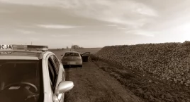 Zdjęcie dotyczy: Niecodzienna interwencja policjantów - dwóch pijanych mężczyzn kradło buraki