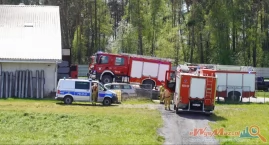 Zdjęcie dotyczy: Pożar kurnika w Osipach Lepertowiźnie. W środku było 40 tysięcy sztuk drobiu [FOTO]
