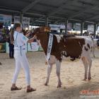 zdjęcie nr 179