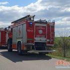 Fotka nr 2 z 4