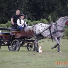 zdjęcie nr 97