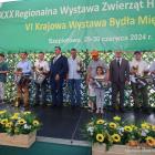 zdjęcie nr 15