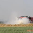 Fotka nr 3 z 14
